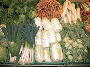German Turnip Varieties Drucke: Vegetable