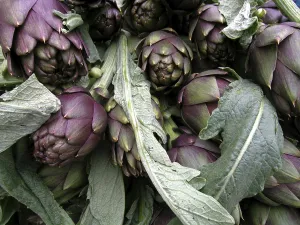 Close Up Artichoke Drucke: Vegetable, artichoke