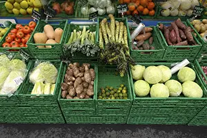 Garden Vegetables Drucke: Vegetable boxes, Chinese cabbage