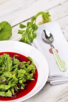 Healthy Vegetarian Lunch Options Drucke: Vegetable soup from young, fresh sheets of the beetroot