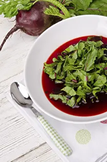 Healthy Vegetarian Lunch Options Drucke: Vegetable soup from young, fresh sheets of the beetroot
