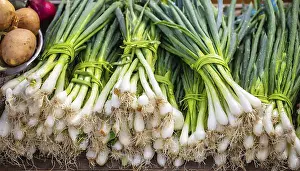 Spring Onion Drucke: Vegetable, spring onion or spring onion