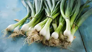 Deserted Garden Vegetables Drucke: Vegetable, spring onion or spring onion