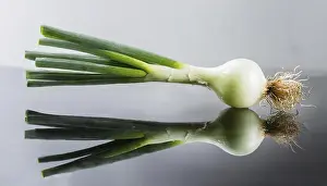 Spring Onion Drucke: Vegetable, spring onion or spring onion