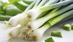 Deserted Garden Vegetables Drucke: Vegetable, spring onion or spring onion