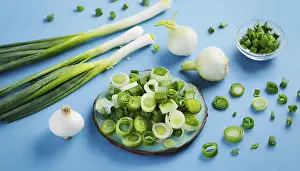 Garden Vegetables Drucke: Vegetable, spring onion or spring onion