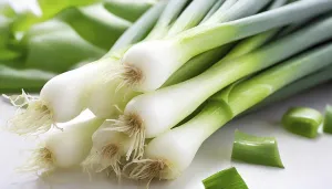 Vegetable Food Photography Drucke: Vegetable, spring onion or spring onion