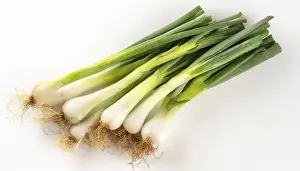 Deserted Garden Vegetables Drucke: Vegetable, spring onion or spring onion