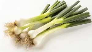 Garden Vegetables Drucke: Vegetable, spring onion or spring onion
