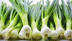 Deserted Garden Vegetables Drucke: Vegetable, spring onion or spring onion