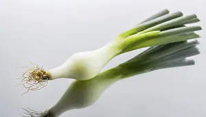 Garden Vegetables Drucke: Vegetable, spring onion or spring onion