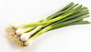 Spicy Vegetable Dishes Drucke: Vegetable, spring onion or spring onion