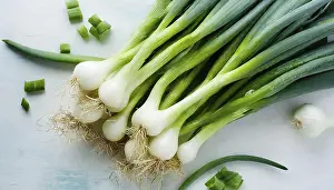 Garden Produce Photography Drucke: Vegetable, spring onion or spring onion