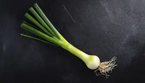 Garden Produce Images Drucke: Vegetable, spring onion or spring onion