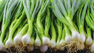 Garden Produce Photography Drucke: Vegetable, spring onion or spring onion