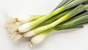 Deserted Garden Vegetables Drucke: Vegetable, spring onion or spring onion