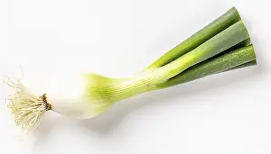 Deserted Garden Vegetables Drucke: Vegetable, spring onion or spring onion