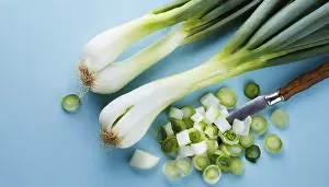 Deserted Garden Vegetables Drucke: Vegetable, spring onion or spring onion