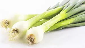 Garden Vegetables Drucke: Vegetable, spring onion or spring onion