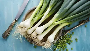 Spring Onion Drucke: Vegetable, spring onion or spring onion