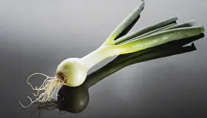 Deserted Garden Vegetables Drucke: Vegetable, spring onion or spring onion
