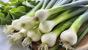 Garden Produce Drucke: Vegetable, spring onion or spring onion