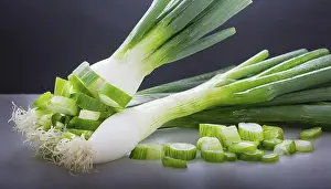 Garden Produce Drucke: Vegetable, spring onion or spring onion