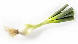 Deserted Garden Vegetables Drucke: Vegetable, spring onion or spring onion