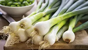 Garden Produce Photography Drucke: Vegetable, spring onion or spring onion