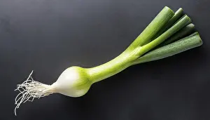 Garden Produce Photography Drucke: Vegetable, spring onion or spring onion