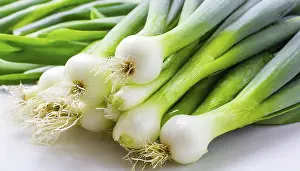 Garden Vegetables Drucke: Vegetable, spring onion or spring onion