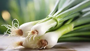Spring Onion Drucke: Vegetable, spring onion or spring onion