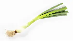 Spicy Vegetable Dishes Drucke: Vegetable, spring onion or spring onion