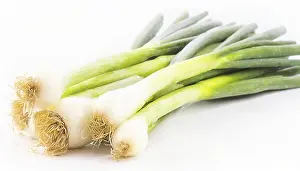 Garden Produce Photography Drucke: Vegetable, spring onion or spring onion