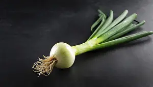Grocery Store Vegetables Drucke: Vegetable, spring onion or spring onion