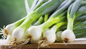 Vegetable Meal Ideas Drucke: Vegetable, spring onion or spring onion
