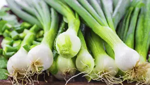 Leek Nutrition Drucke: Vegetable, spring onion or spring onion