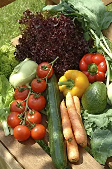 Organic Vegetable Cultivation Drucke: Vegetables