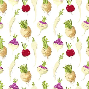 Studio Shot Of Vegetables Drucke: Vegetables roots pattern over white background