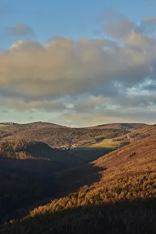 Atmospheric Evening Light Shot Drucke: Vegetation of forests and fields in the hills with clouds in evening light