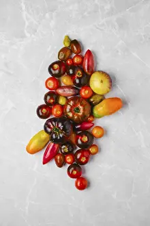 Agricultural Crop Image Drucke: Vertical composition with various types of tomatoes