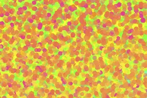 Ornate Decorative Item Image Drucke: A vibrant abstract composition featuring overlapping points patterns in pink