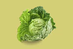 Farm Fresh Produce Drucke: Vibrant green cabbage with textured leaves on a solid background