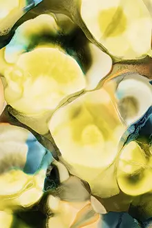 Vibrant Abstract Design Drucke: Vibrant interplay of yellow, blue