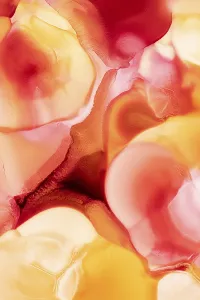 Ecological Abstract Art Drucke: Vibrant liquid abstract inks flow together