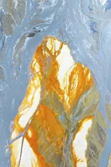 Colorful Abstract Artwork Drucke: Vibrant multicolor abstract texture featuring dynamic orange