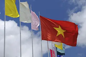 Asian Flags Drucke: Vietnamese flag
