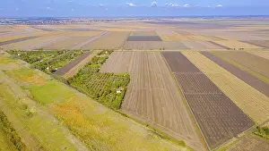 Agricultural Acreage Landscape Photo Drucke: Above view on agricultural fields