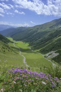 Alpine Pasture View Drucke: View down to the alpine pasture