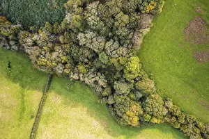 Unmanned Aerial Vehicle UAV Drucke: Top Down view of Autumn Colors over Devon fields from a drone